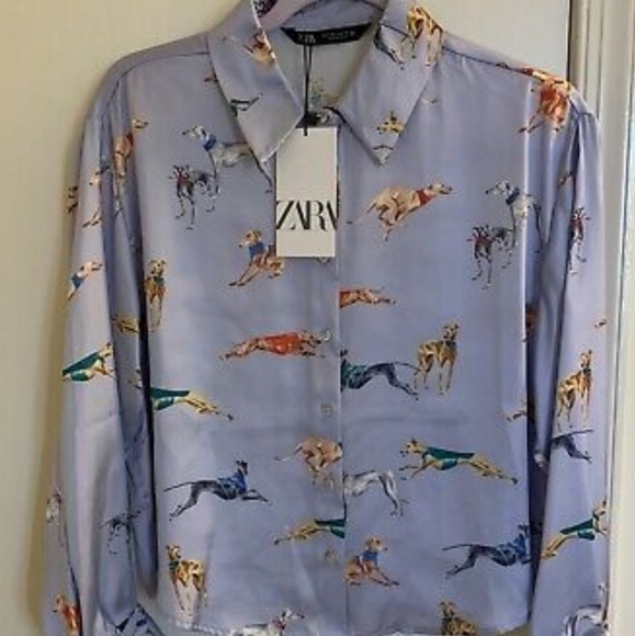 Zara greyhound shirt Clearance
